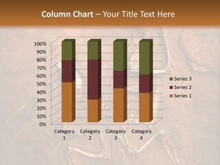 Paleontology Evolution Biology PowerPoint Template