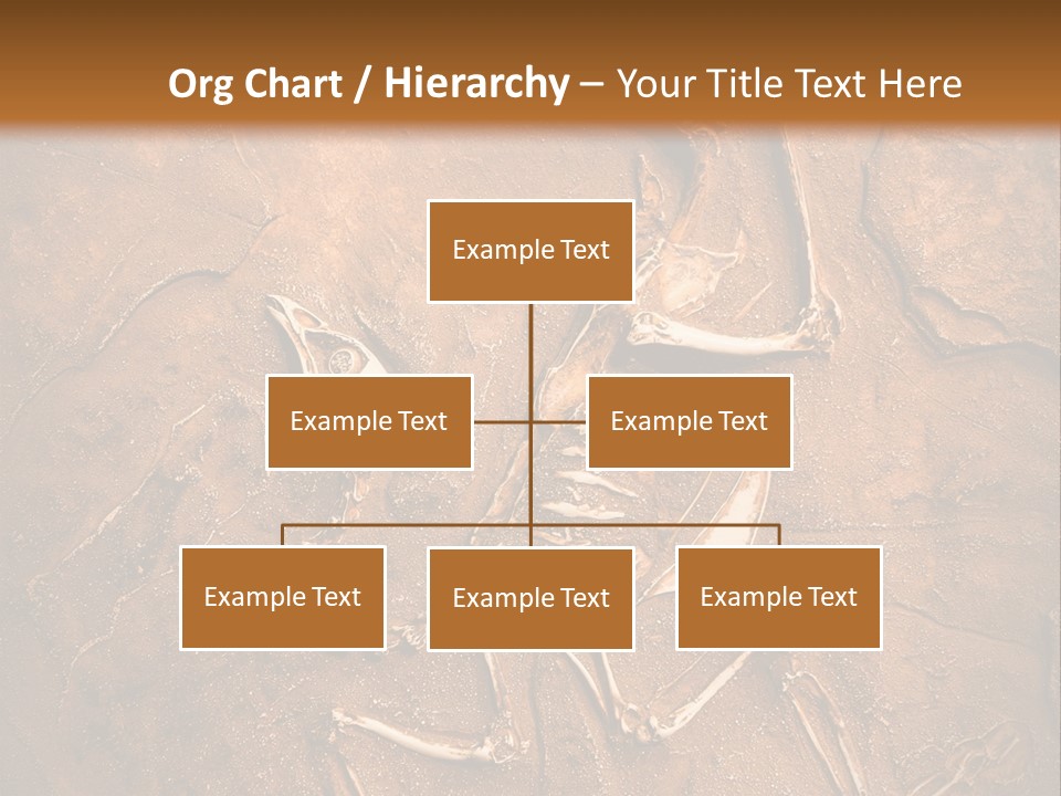 Paleontology Evolution Biology PowerPoint Template