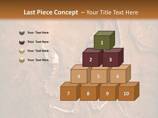 Paleontology Evolution Biology PowerPoint Template