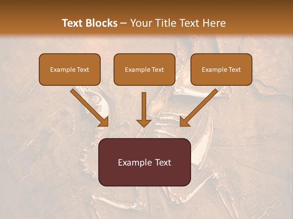 Paleontology Evolution Biology PowerPoint Template