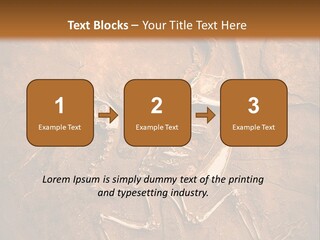 Paleontology Evolution Biology PowerPoint Template