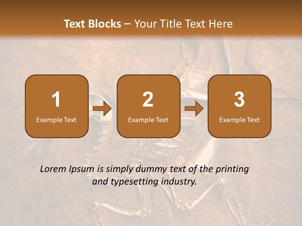 Paleontology Evolution Biology PowerPoint Template
