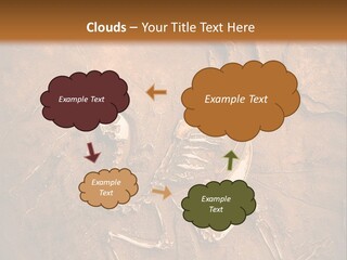 Paleontology Evolution Biology PowerPoint Template
