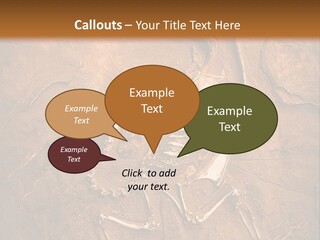 Paleontology Evolution Biology PowerPoint Template