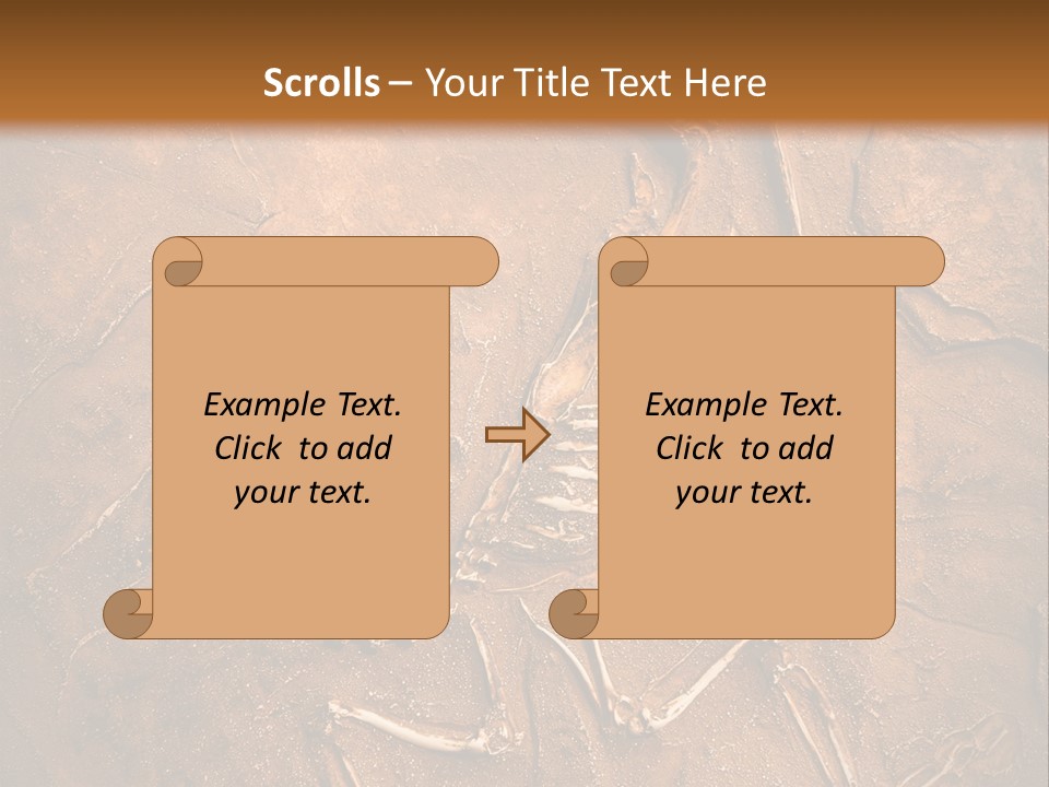 Paleontology Evolution Biology PowerPoint Template