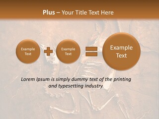 Paleontology Evolution Biology PowerPoint Template