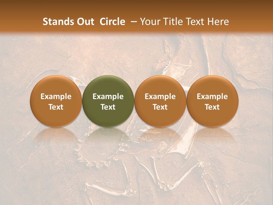 Paleontology Evolution Biology PowerPoint Template