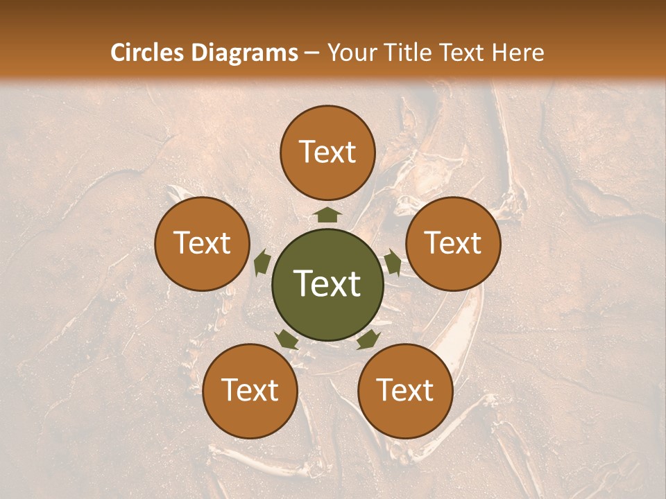 Paleontology Evolution Biology PowerPoint Template
