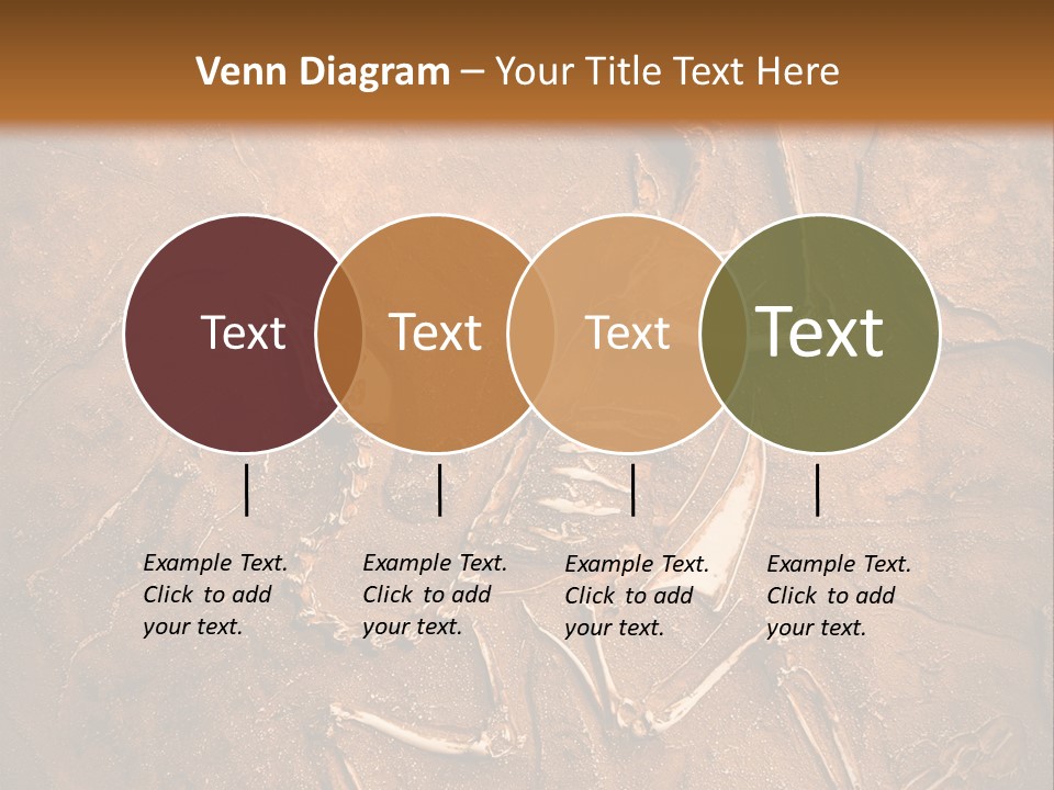 Paleontology Evolution Biology PowerPoint Template