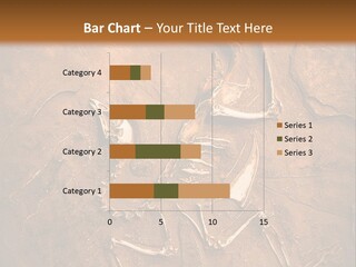 Paleontology Evolution Biology PowerPoint Template