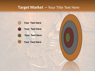 Paleontology Evolution Biology PowerPoint Template