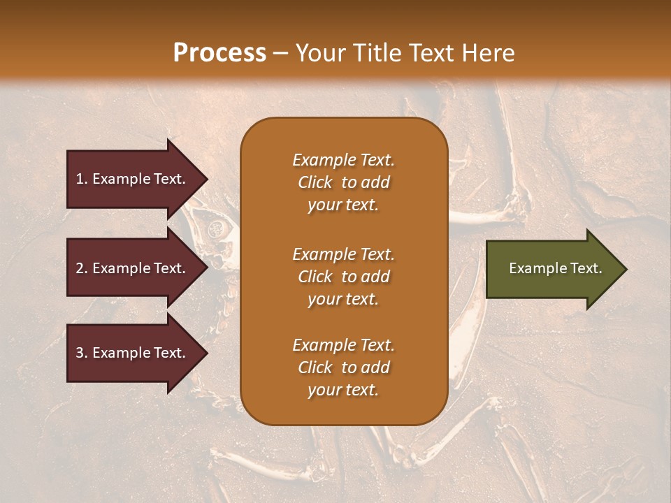Paleontology Evolution Biology PowerPoint Template