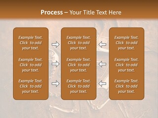 Paleontology Evolution Biology PowerPoint Template