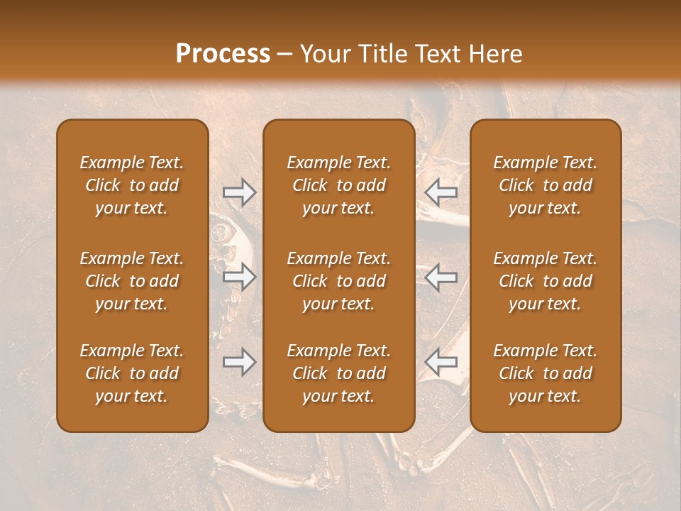 Paleontology Evolution Biology PowerPoint Template