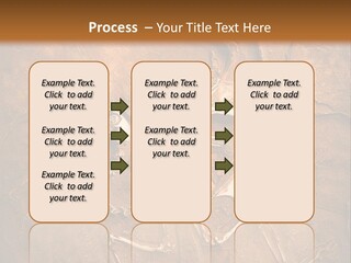 Paleontology Evolution Biology PowerPoint Template