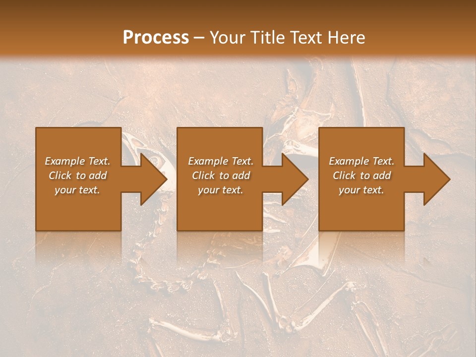 Paleontology Evolution Biology PowerPoint Template