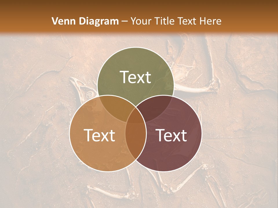 Paleontology Evolution Biology PowerPoint Template