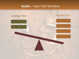 Paleontology Evolution Biology PowerPoint Template