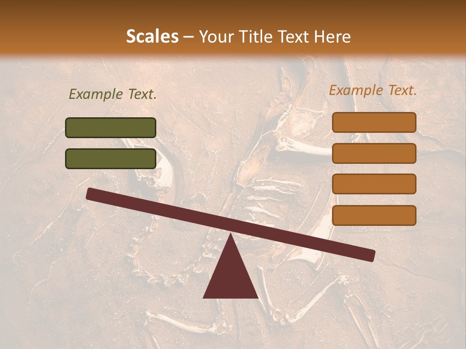 Paleontology Evolution Biology PowerPoint Template