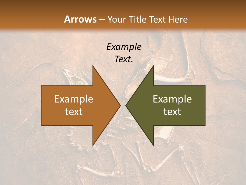 Paleontology Evolution Biology PowerPoint Template
