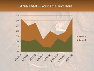 Paleontology Evolution Biology PowerPoint Template