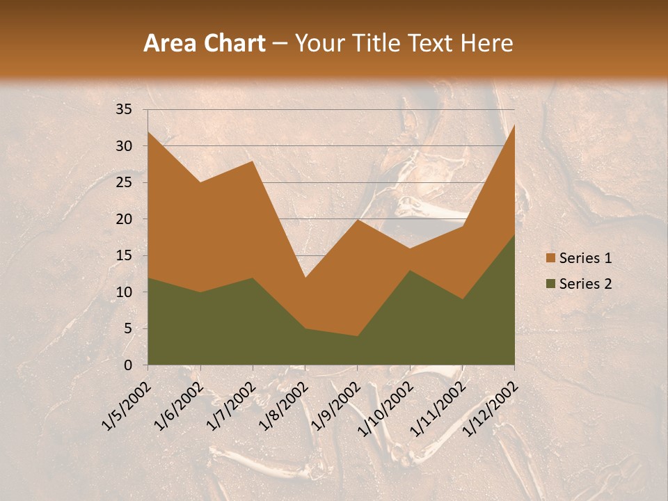 Paleontology Evolution Biology PowerPoint Template