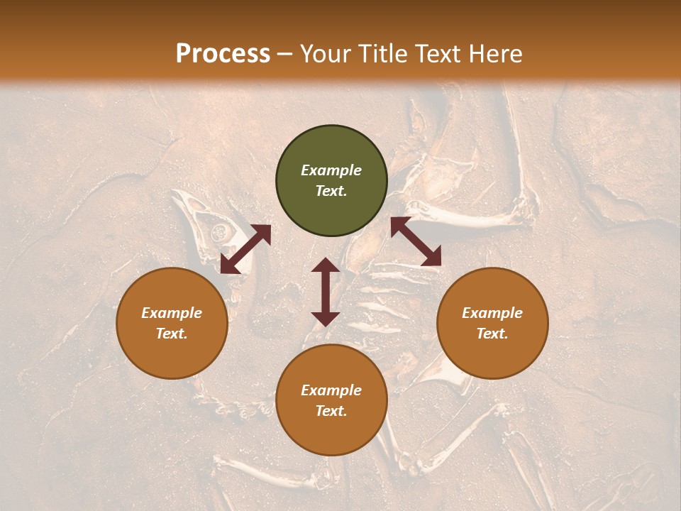 Paleontology Evolution Biology PowerPoint Template