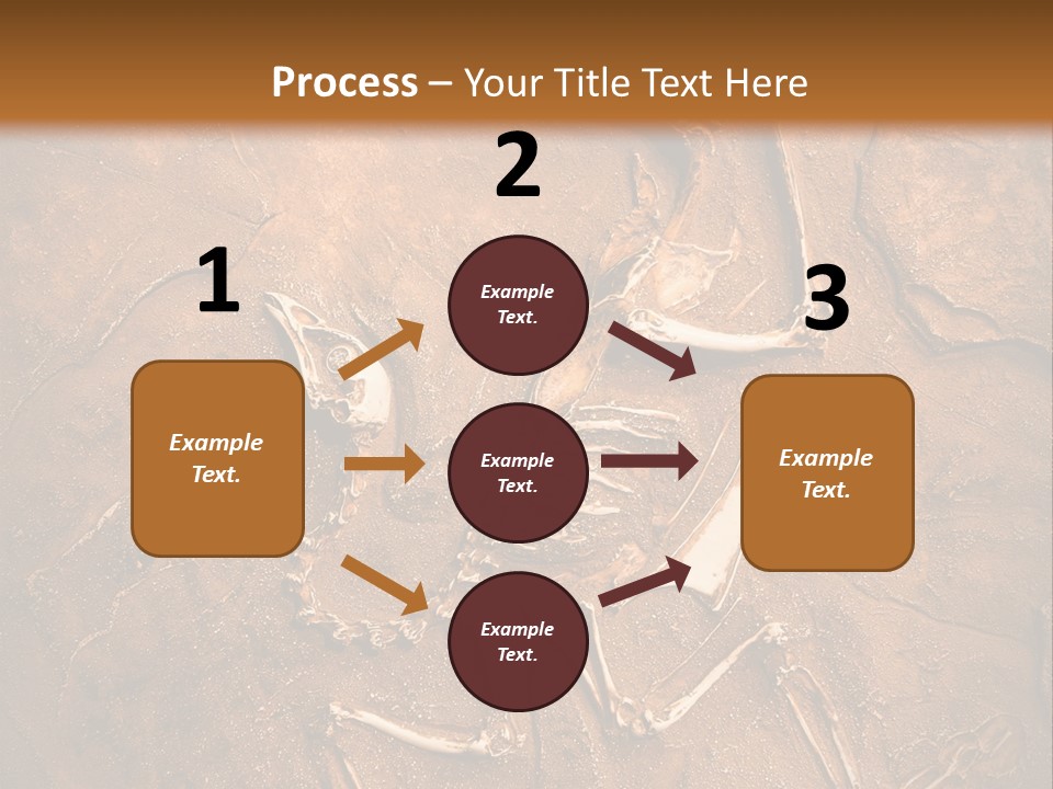 Paleontology Evolution Biology PowerPoint Template