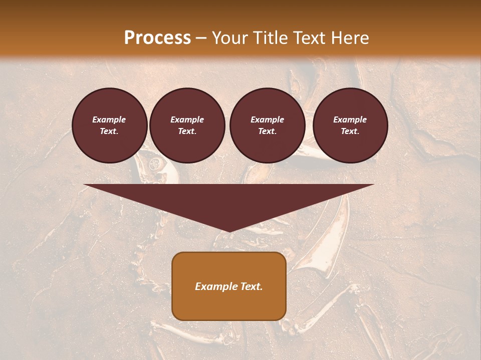 Paleontology Evolution Biology PowerPoint Template