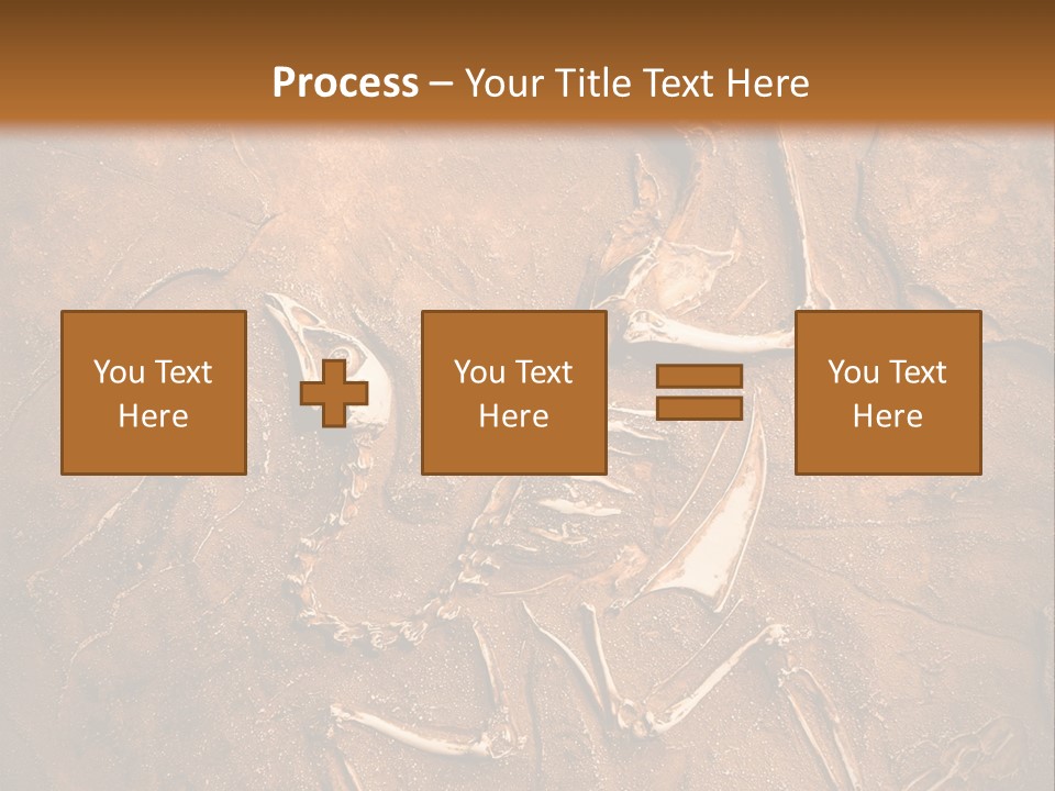 Paleontology Evolution Biology PowerPoint Template