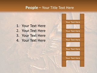 Paleontology Evolution Biology PowerPoint Template