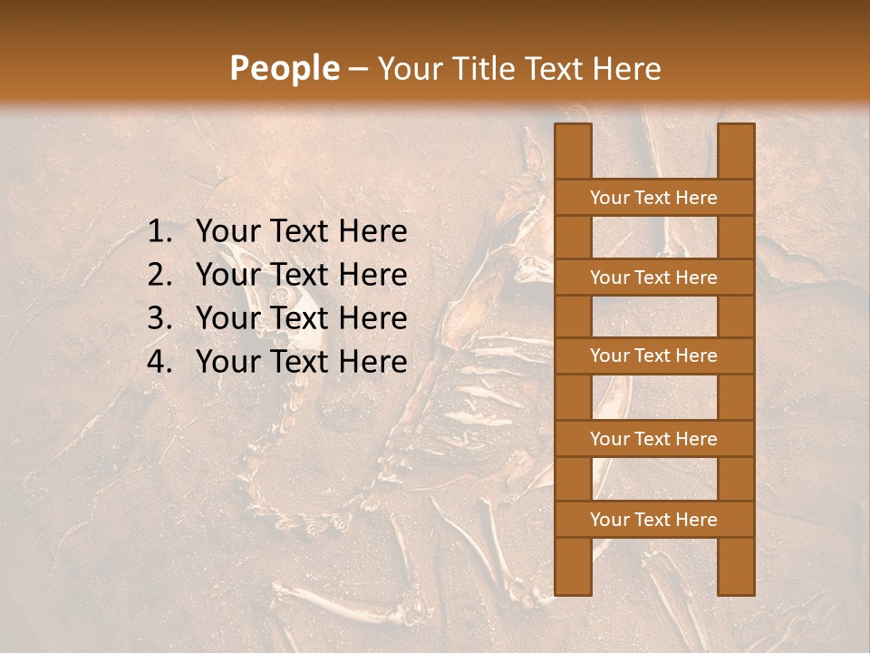 Paleontology Evolution Biology PowerPoint Template