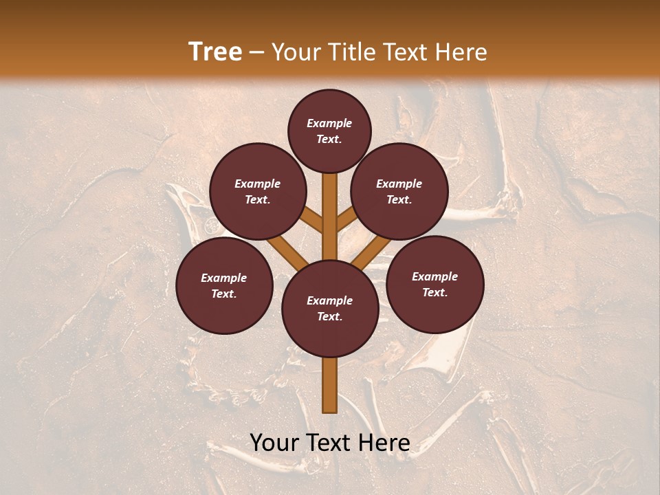 Paleontology Evolution Biology PowerPoint Template