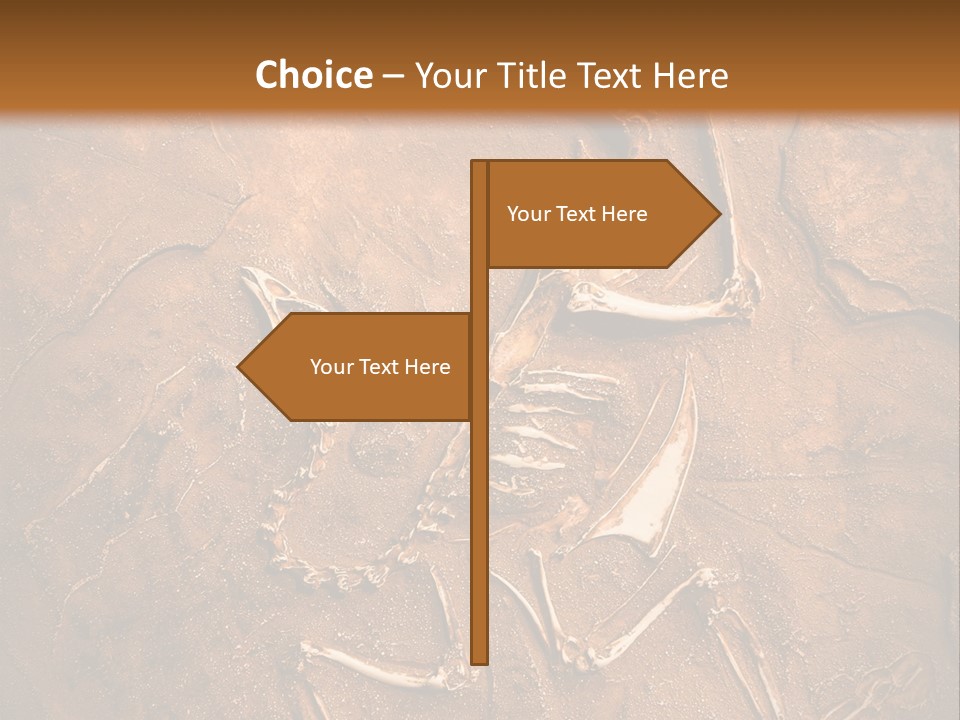 Paleontology Evolution Biology PowerPoint Template