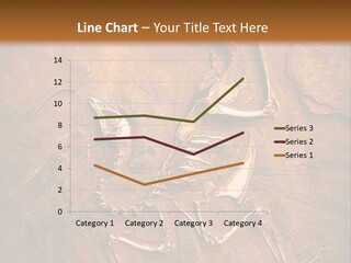 Paleontology Evolution Biology PowerPoint Template