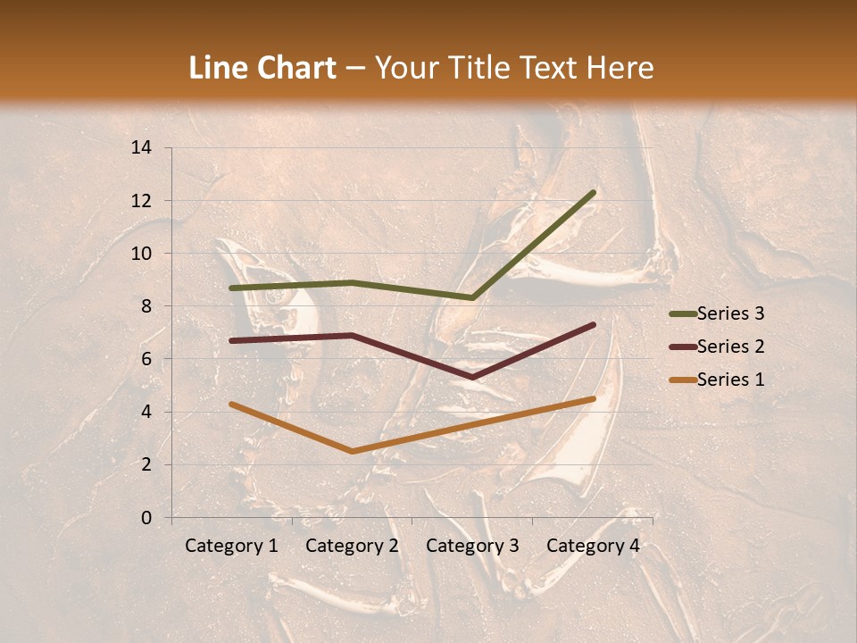 Paleontology Evolution Biology PowerPoint Template