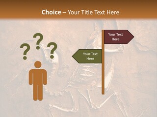 Paleontology Evolution Biology PowerPoint Template