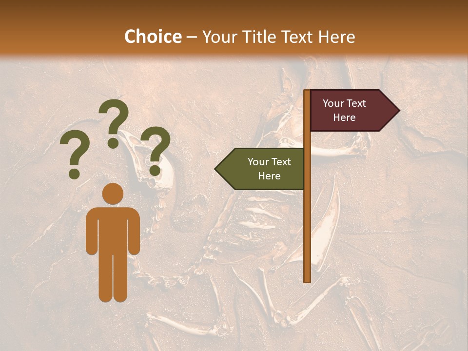 Paleontology Evolution Biology PowerPoint Template