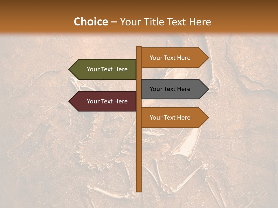Paleontology Evolution Biology PowerPoint Template