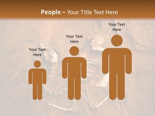 Paleontology Evolution Biology PowerPoint Template