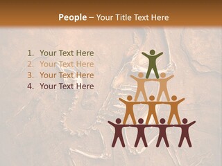 Paleontology Evolution Biology PowerPoint Template