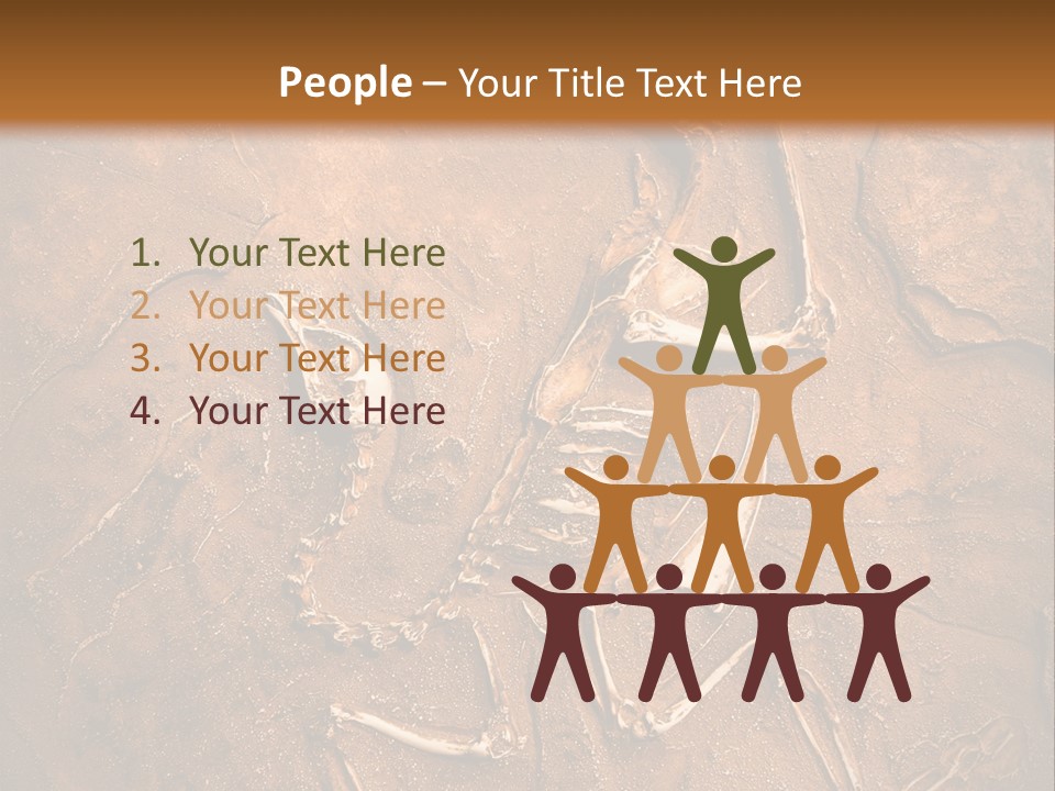 Paleontology Evolution Biology PowerPoint Template