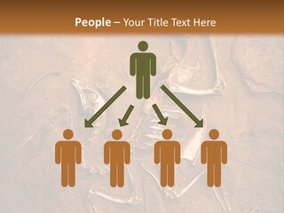 Paleontology Evolution Biology PowerPoint Template