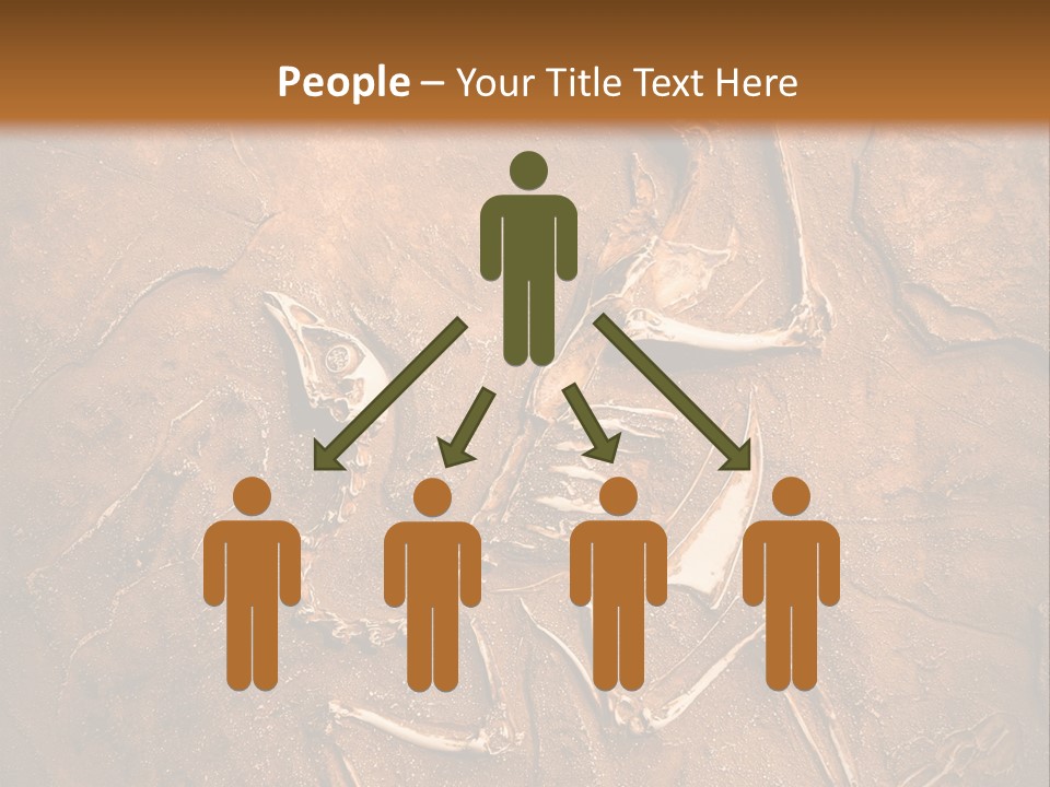 Paleontology Evolution Biology PowerPoint Template