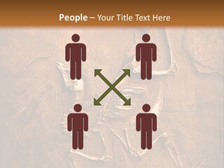Paleontology Evolution Biology PowerPoint Template