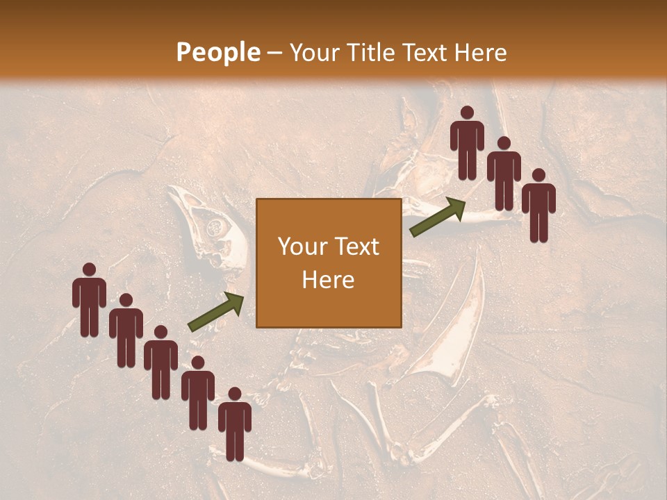 Paleontology Evolution Biology PowerPoint Template