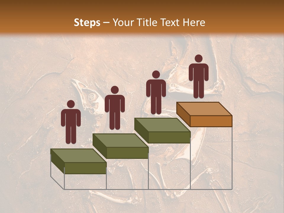 Paleontology Evolution Biology PowerPoint Template