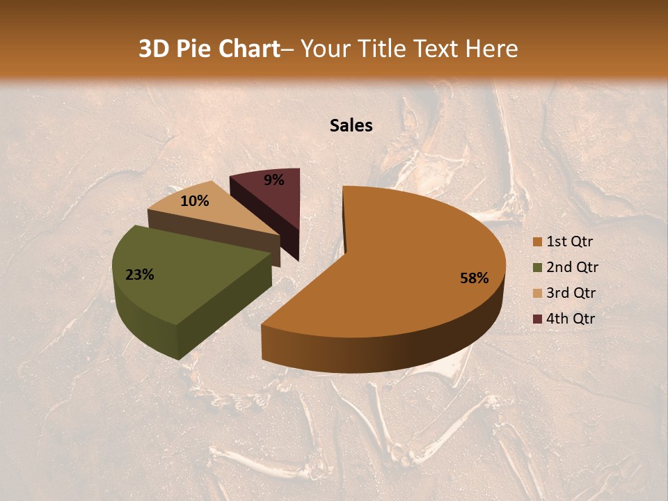 Paleontology Evolution Biology PowerPoint Template
