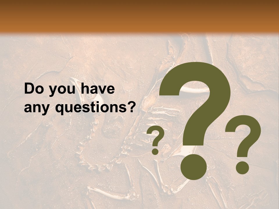 Paleontology Evolution Biology PowerPoint Template