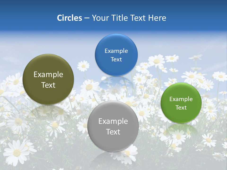 Design Scenery Close PowerPoint Template